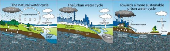 Influences on the water cycle in cities through sealed surfaces. Source: AUCKLAND CITY COUNCIL 2010